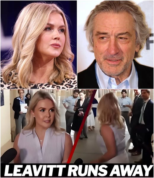 “Sit Down, Barbie — You’re Not a Role Model for Anyone.” Robert De Niro Exposes Karoline Leavitt With One Cold Sentence That Left Her Chair Empty and America Stunned ST