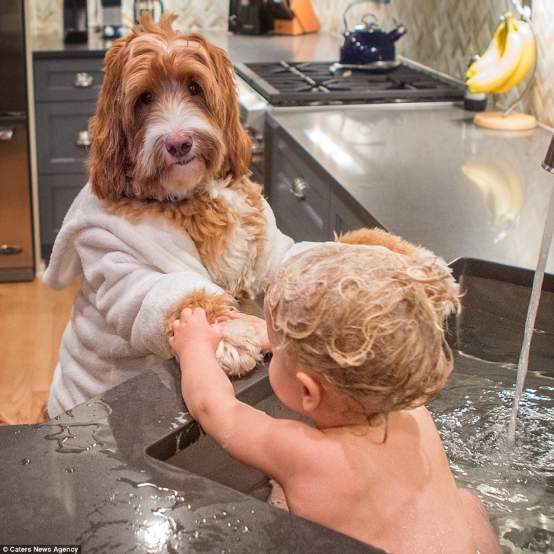 Rub-a-dub: The little boy's foster grandmother, Sandi Swiridoff, has put a cute collection of photos together in a picture book to be sold for charity