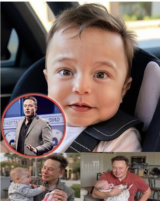 Elon Musk is often regarded as one of the most innovative and ambitious entrepreneurs of our time. With a vision of shaping the future, Musk has founded and led several groundbreaking companies, including Tesla, SpaceX, and Neuralink.SH