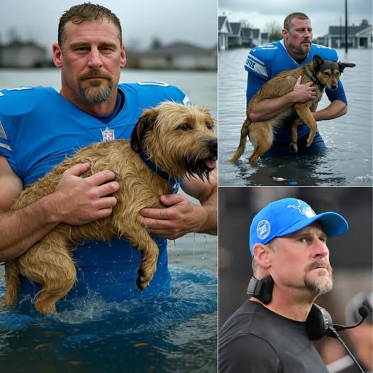 BREAKING: Dan Campbell & Detroit Lions: Texas Relief Heart with $30 Million for Rescue Dogs and Mobile Shelter.SH