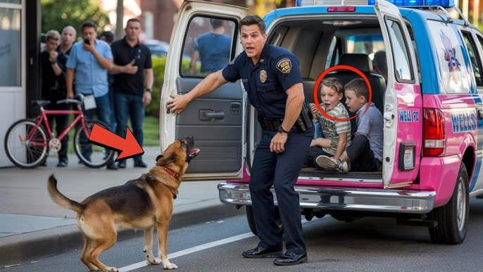 K9 Dog Barked at an Ice Cream Truck — What Police Found Inside Shocked the Entire  Nation - YouTube
