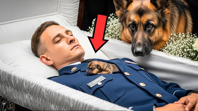 The Reason The Dog Kept Barking In Front Of The Coffin-A Miracle No One Could Have Imagined Happened