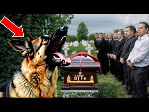 The Dog Kept Barking At Its Owner's Coffin. Opening It, People Screamed In  Horror! - YouTube